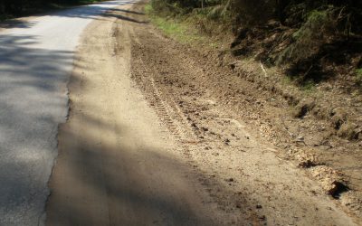 Kazlų Rūdos savivaldybės bendruomenės vienija pajėgas spręsti Višakio Rūdos kelio problemą