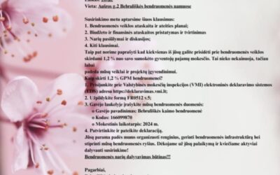 2023-2027 m. VPS VIEŠINIMAS