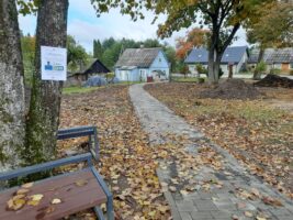 310041343_512193530796025_6554575684545795622_n (1)